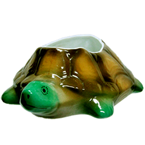 Tortuga
